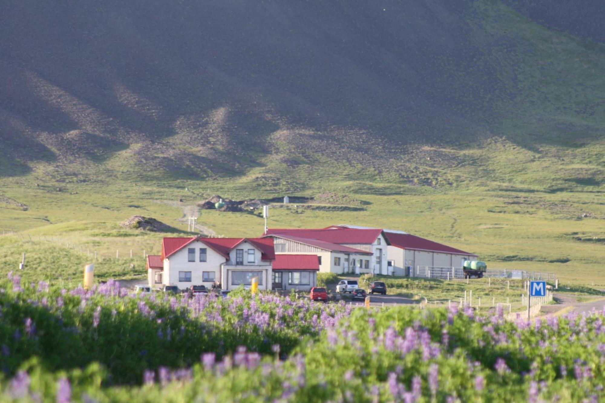 Snæfellsbær Lysuholl酒店 外观 照片